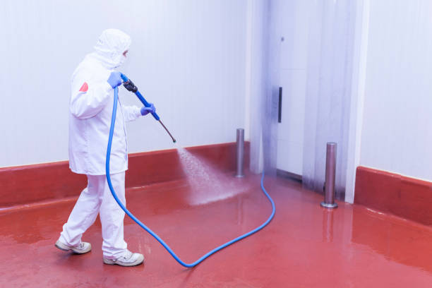 Trusted Buckingham, FL Pressure Washing Experts